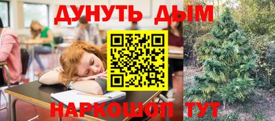 прущие грибы Донецк