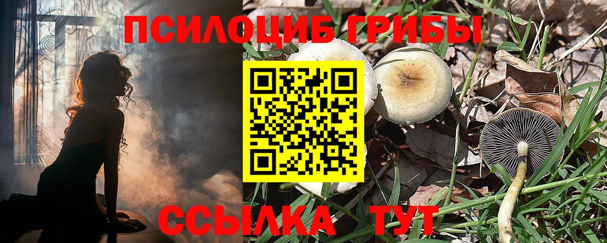 Галлюциногенные грибы GOLDEN TEACHER  Вход с VPN  Мирный  Псилоцибиновые грибы MAGIC MUSHROOMS 